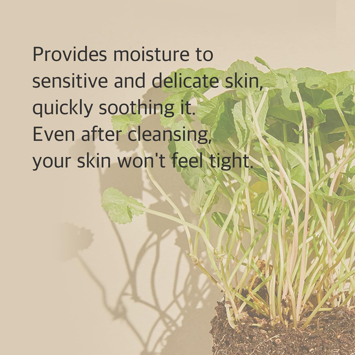 Centella Cleansing Foam 5.07 Fl Oz/ 150Ml,Low Ph Cleansing Foam for Soothing and Moisturization